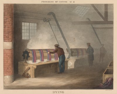 Progress of Cotton: #11 - Dying by James Richard Barfoot