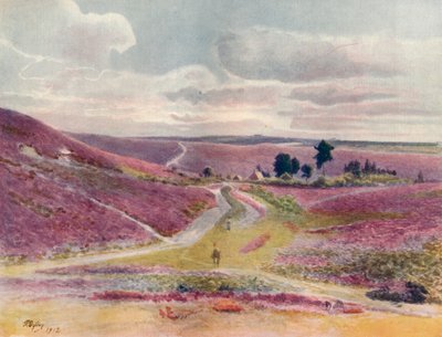 Moorland at Frensham by James S Ogilvy