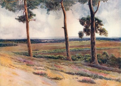 View from Staple Hill by James S Ogilvy