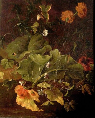 Dock Leaves and Other Flowers by James Sillett
