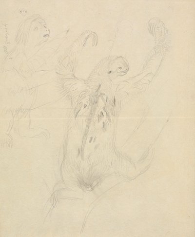 Two Sloths by James Sowerby