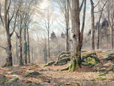 A Welsh Wood by James Thomas Watts