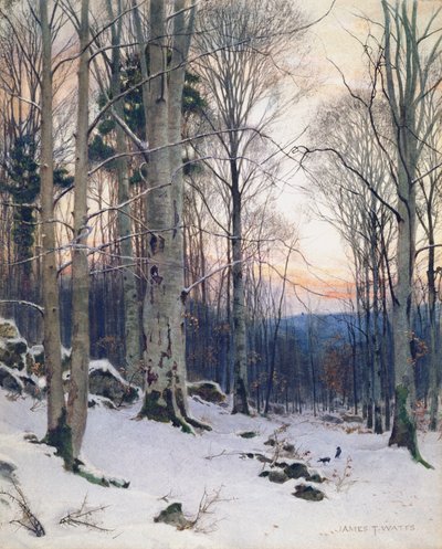 Twilight, Beech Woods by James Thomas Watts