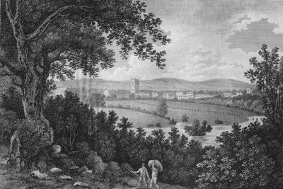 Marlborough: The Itinerant by James Walker