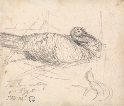 A Turkey Sitting on Eggs by James Ward