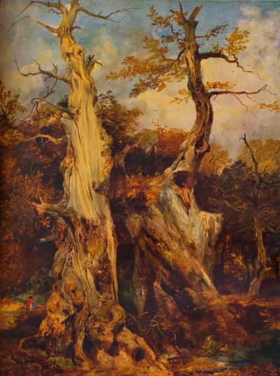 In the Forest by James Ward