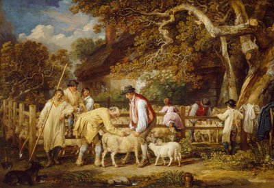 Sheep Salving by James Ward