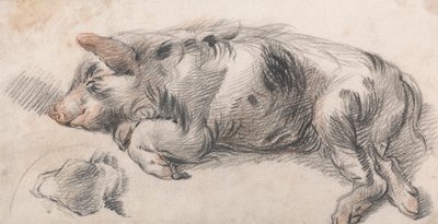 Sleeping Pig by James Ward