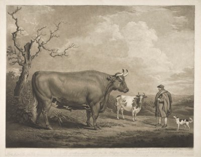The Spottiswoode Ox by James Ward