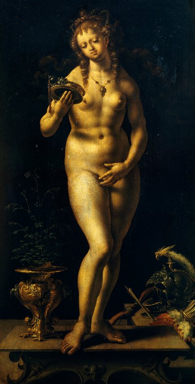 Venus by Jan (c.1472 c.1533) Gossaert