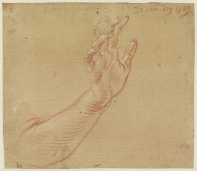 Study of a Right Arm by Jan Anton Garemyn