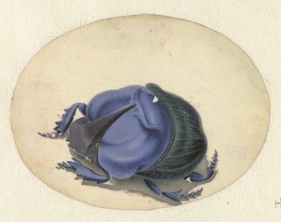 Blue Beetle by Jan Augustin van der Goes