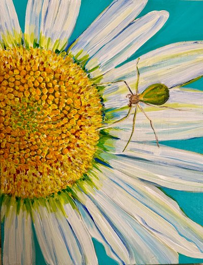 Watermelon Spider by Jan Barzottini