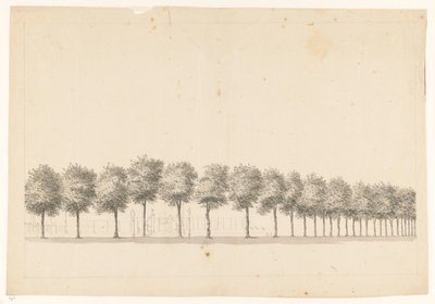 Tree Avenue in Batavia by Jan Brandes