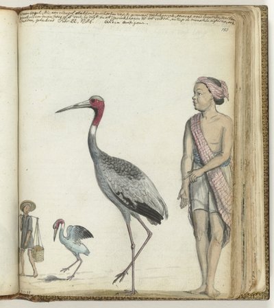 Crane by Jan Brandes