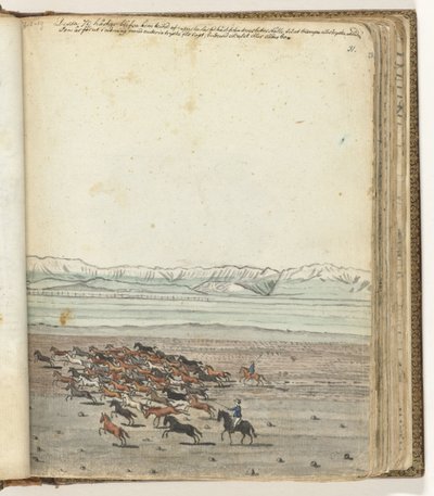 Herd of Horses by Jan Brandes
