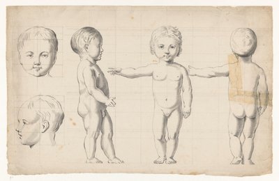 Nude Studies of a Boy by Jan Brandes