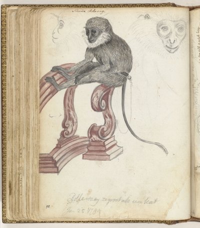 Rolleway Monkey by Jan Brandes