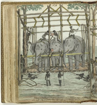 Taming an Elephant by Jan Brandes