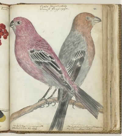 Swedish Birds by Jan Brandes
