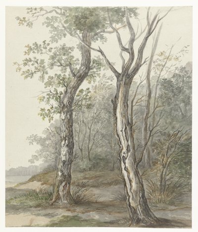 Forest Landscape by Jan Dasveldt