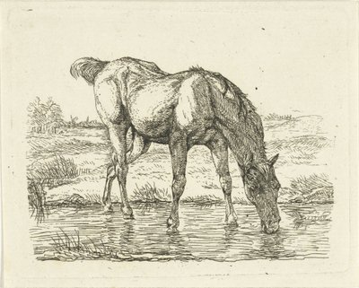 Drinking Horse by Jan Dasveldt
