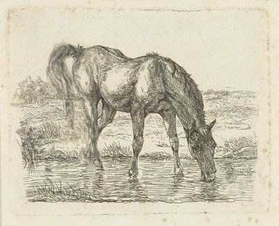 Drinking Horse by Jan Dasveldt