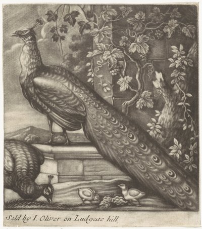 Peacocks by Jan Griffier (I)
