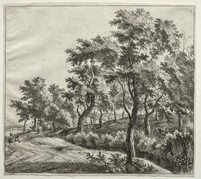 The Narrow Stream by Jan Hackaert
