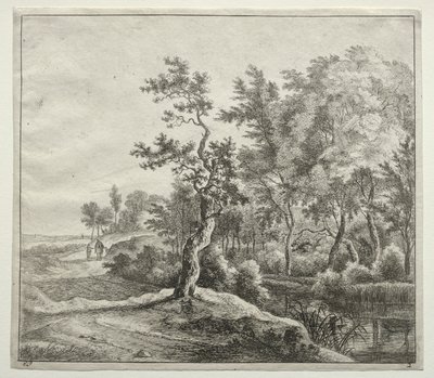 The Serpentine Road by Jan Hackaert
