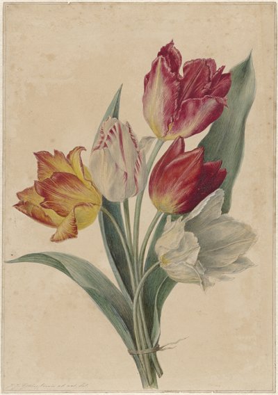 Bouquet of Tulips by Jan Jacob Goteling Vinnis