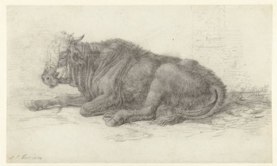 Lying Cow by Jan Joost van Cossiau