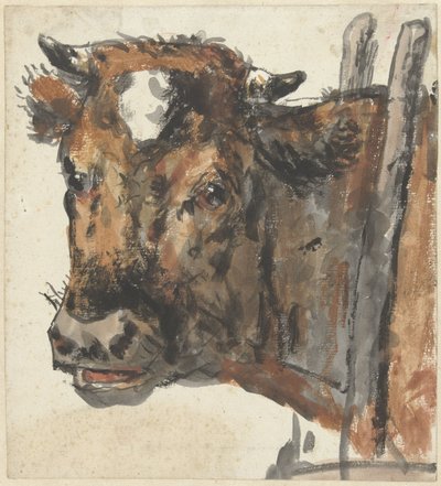 Head of a Cow by Jan Kobell (II)