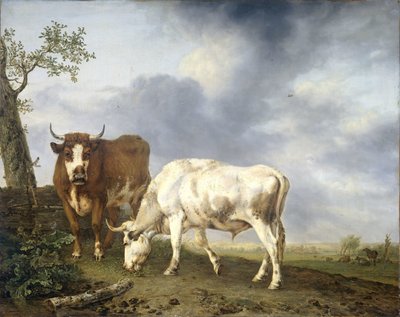 Oxen in the Meadow by Jan Kobell (II)