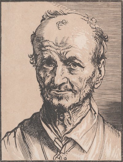 Bust of a Man by Jan Lievens