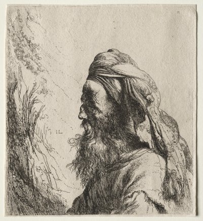 Head of an Oriental by Jan Lievens