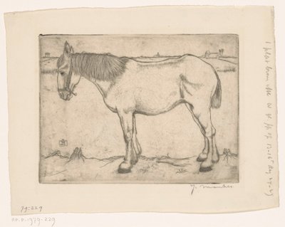 Horse by Jan Mankes (signed by artist)