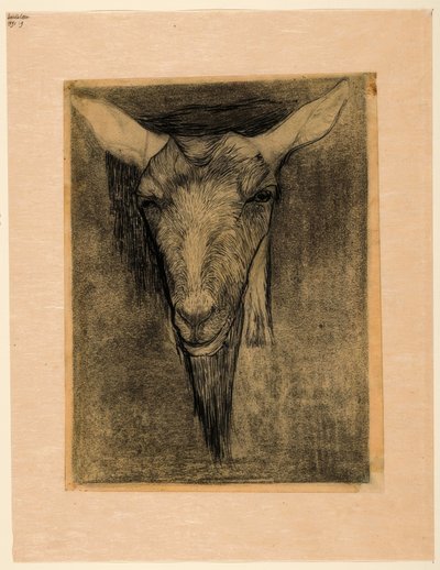 Head of a Goat by Jan Mankes