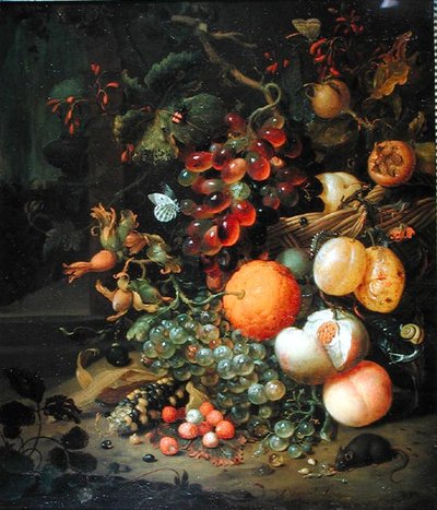Still Life with Fruit by Jan Mortel