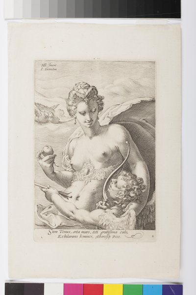 Venus by Jan Saenredam