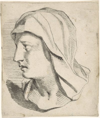 Bust of a Woman with a Veil Hanging on Her Shoulders by Jan Snellen