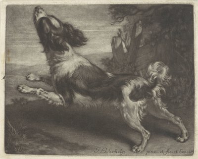 Running Dog, Possibly a Spaniel by Jan Verkolje (I)