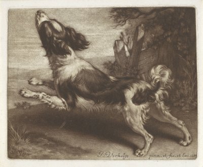 Running Dog, Possibly a Spaniel by Jan Verkolje (I)