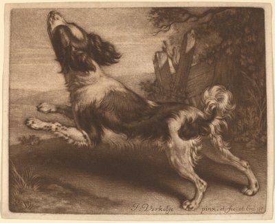 A Spaniel Jumping by Jan Verkolje I
