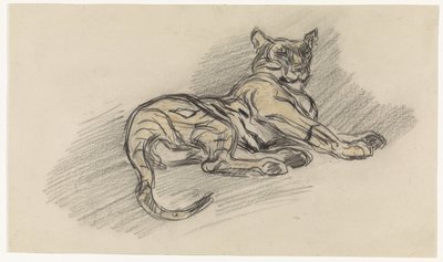 Reclining Tiger, Facing Right by Jan van Essen