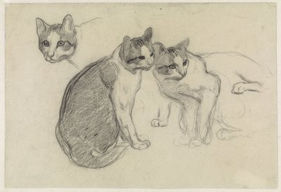 Study Sheet with Cats by Jan van Essen