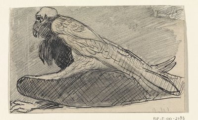 Sitting Vulture by Jan van Essen