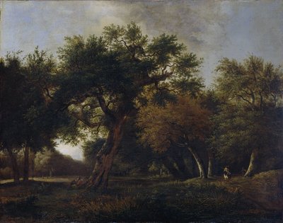 View in the Woods by Jan van  Kessel