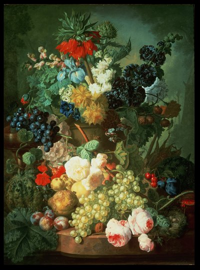 Unknown Image by Jan van Os