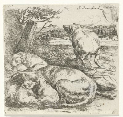 Female Dog with Puppies by Jan van Ossenbeeck
